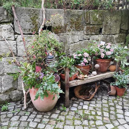 Appartement Auszeit à Freital Extérieur photo