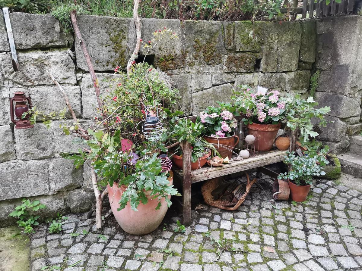 Appartement Auszeit à Freital Extérieur photo