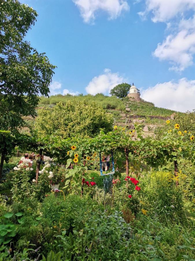 Appartement Auszeit à Freital Extérieur photo