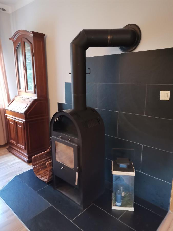 Appartement Auszeit à Freital Extérieur photo