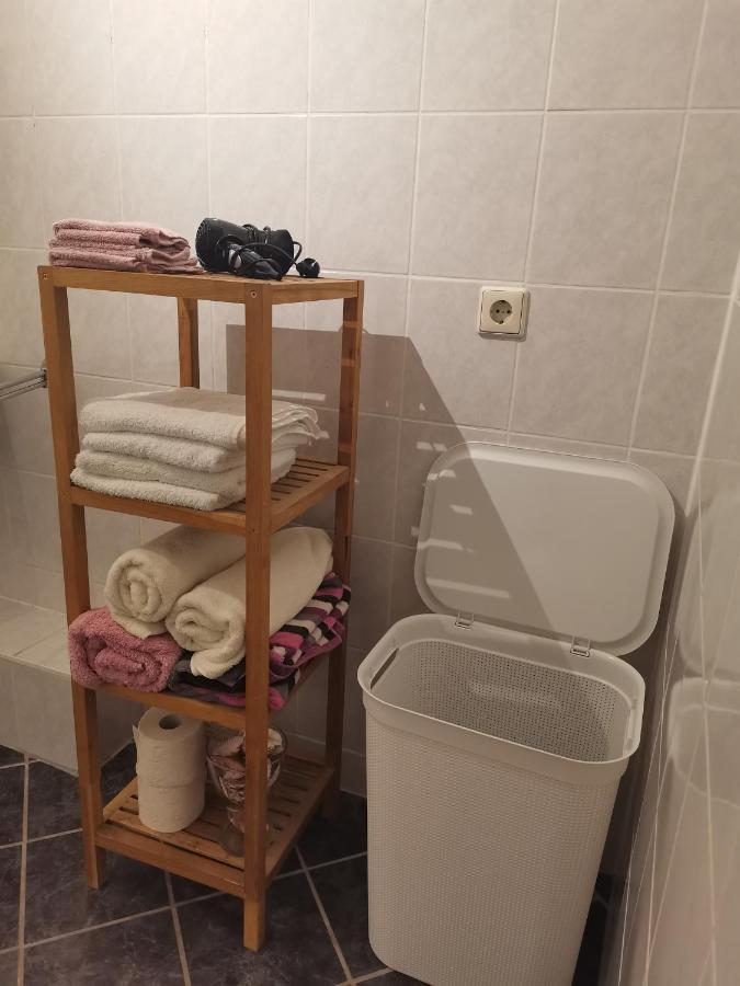 Appartement Auszeit à Freital Extérieur photo