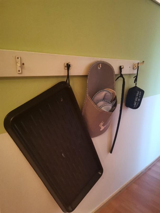Appartement Auszeit à Freital Extérieur photo