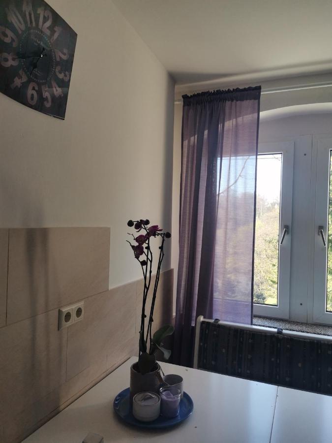 Appartement Auszeit à Freital Extérieur photo